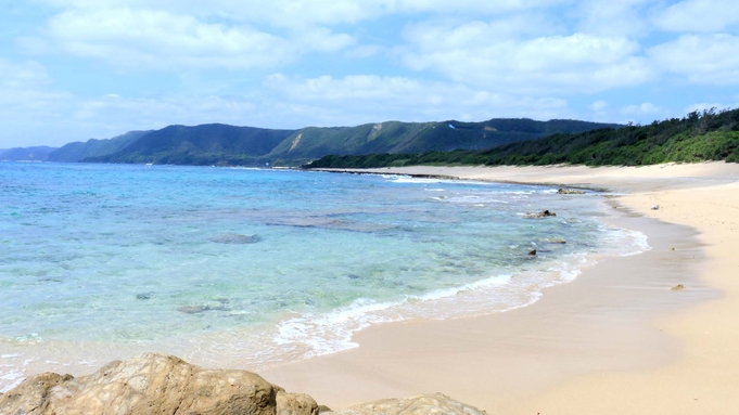◆ 亀シュノーケリングツアー ◆奇跡の島☆奄美の海へ冒険にでかけませんか？ウミガメと一緒に泳ごう！